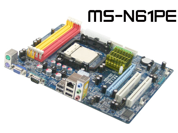 MS-N61PE